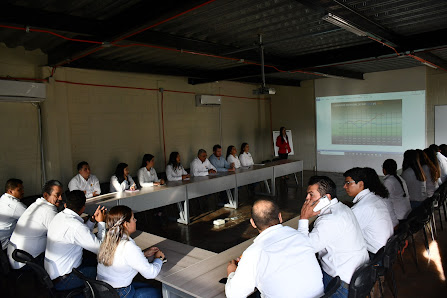 Autopartes Y Cristales Tracto De Ocotlán Sa De Cv